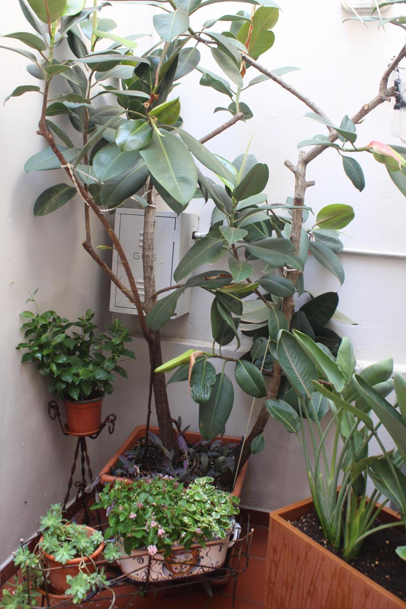 Apartament La Terrazza Sul Tempio Brindisi Zewnętrze zdjęcie